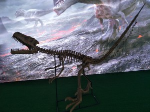 北京恐龙骨架IMG20170811142626